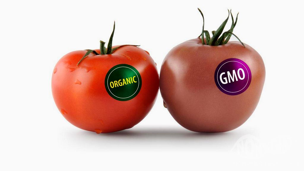 GMO Products and Organic Products