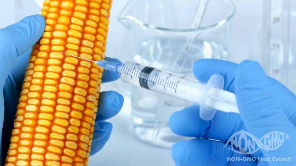 Why is the Labeling of GMO Products Needed?