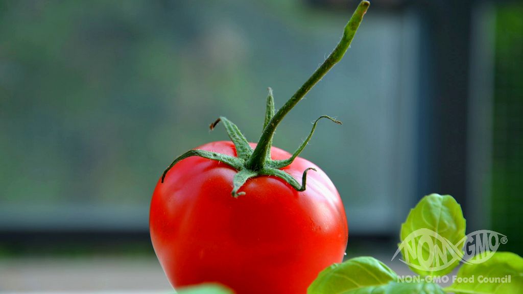 Genetiği Değiştirilmiş Gıda Tartışmaları