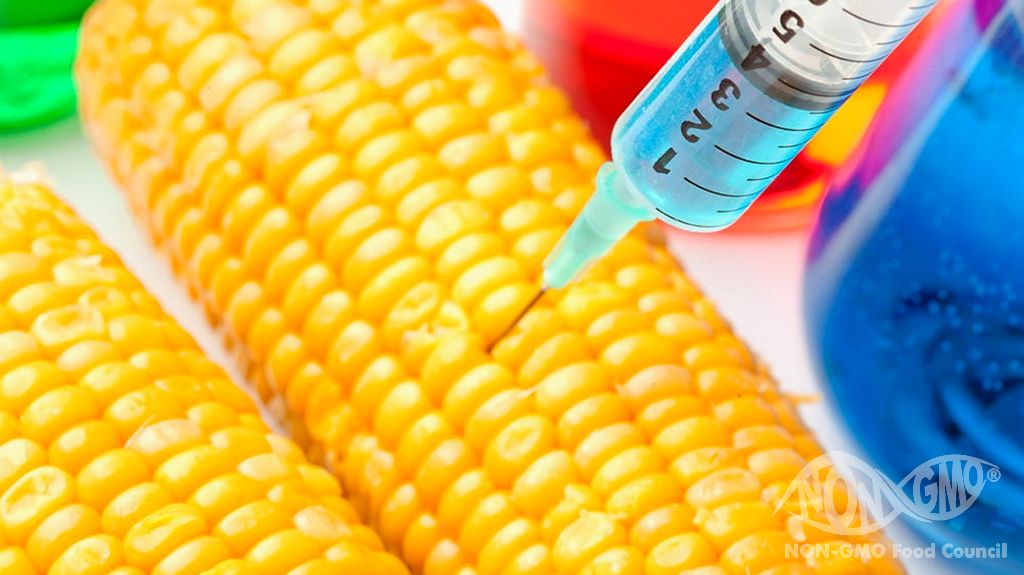 What are GMO FREE (NON GMO) Products?