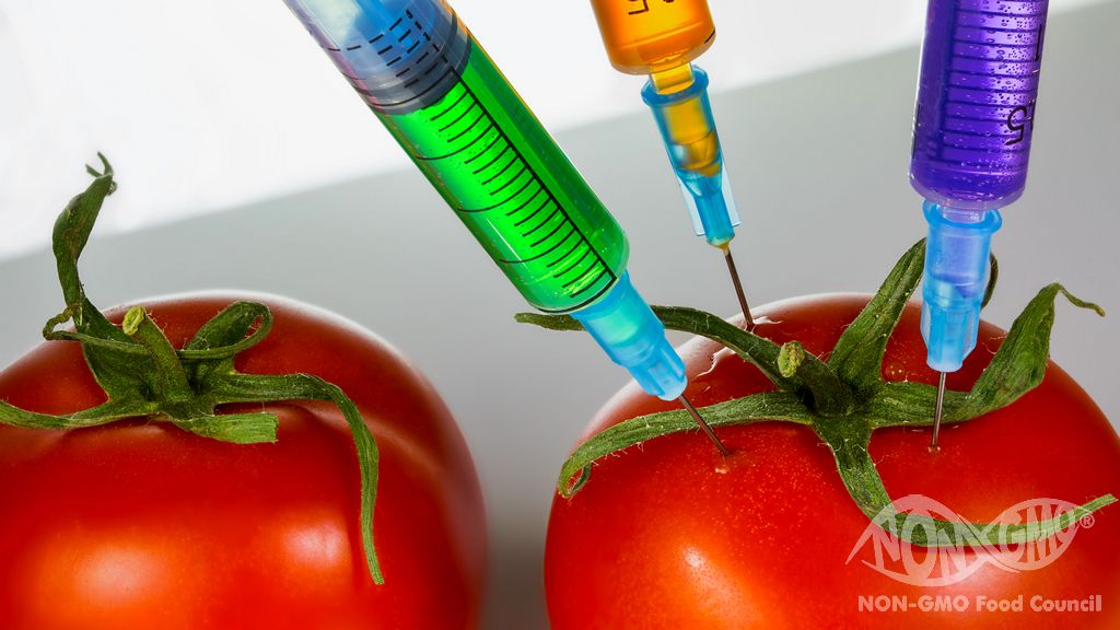 וואָס טוט GMO FREE מיינען?