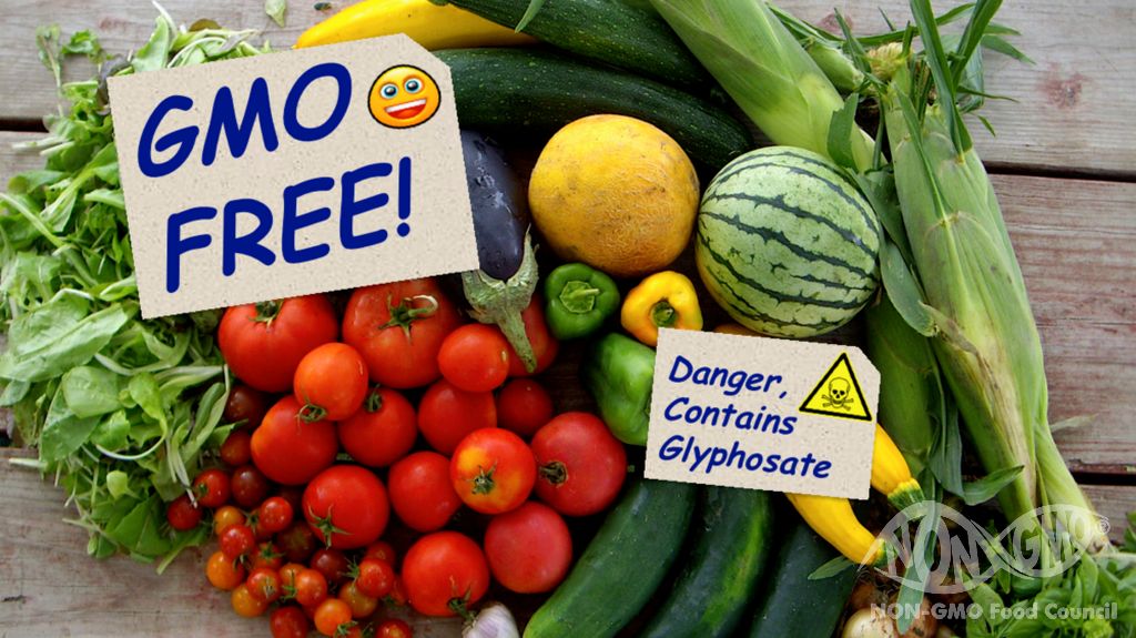 What is NON GMO?