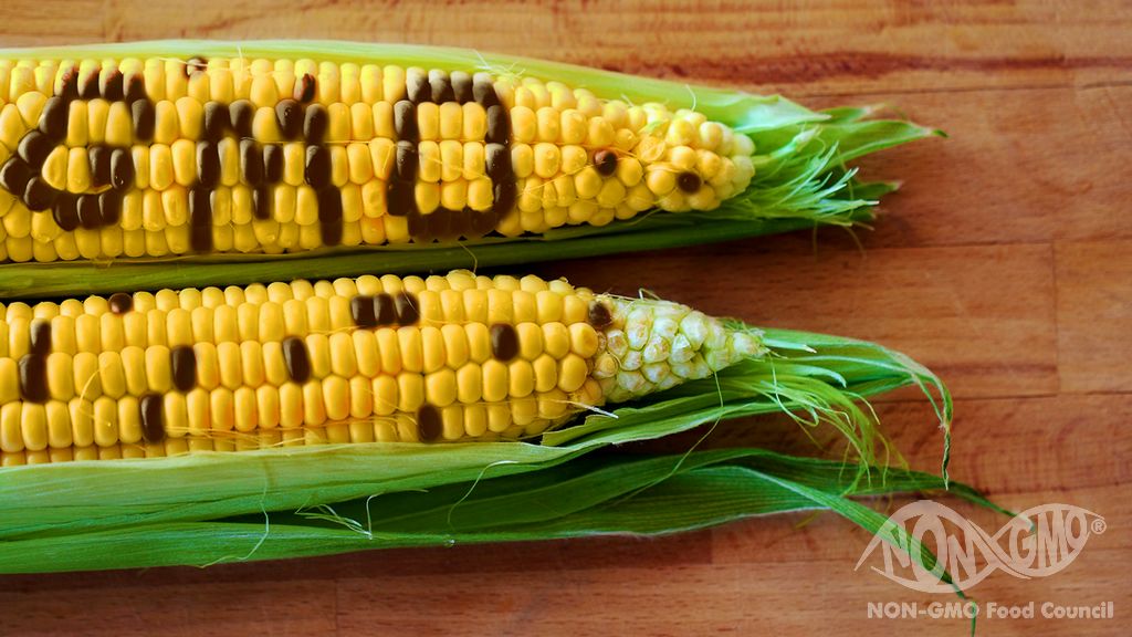 NON GMO